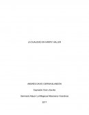 LA DUALIDAD EN HARRY HALLER