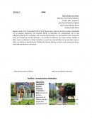 EVIDENCIA 2 APRECIACIÓN DE LAS ARTES