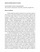 Informe Observacion en terreno MIU 2018