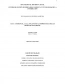 Las Redes De Transporte “Apertura Al Mundo Globalizado”