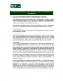 ANÁLISIS ESTRATÉGICO INTERNO Y EXTERNO DE LA SOCIEDAD