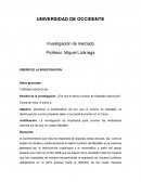 Investigacion de mercado sobre turismo