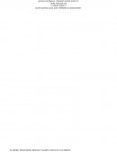 INFORME DEL DIAGNOSTICO