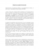 Adopción por parejas Homosexuales