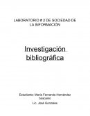 LABORATORIO # 2 DE SOCIEDAD DE LA INFORMACIÓN