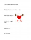 Ensayo sobre la salud y el deporte