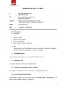 Informe mensual de Seguridad en el Trabajo “Mejoramiento Baden en Yarabamba - Quequeña”