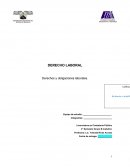 DERECHO LABORAL Derechos y obligaciones laborales