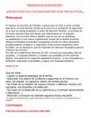 PERIODO DE ADAPTACIÓN UNIDAD DIDÁCTICA: INICIAMOS NUESTRO VIAJE POR SALITA DE 3