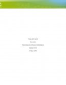 Semana 2 administracion de recursos informaticos
