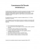 Caracterizacion Del Mercado IMPORTADOS_FC