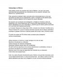 Cyberpeligro en México