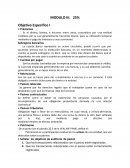 Modulo 3 • Préstamos
