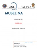 AVANCE DEL PIA. “MUSELINA”