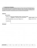 Fundamentacion Pedagogica: undamentacion