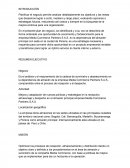 Commerce Partners S.A.S