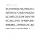 Clemente APLICACIÓN EN LA INDUSTRIA