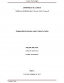 TRABAJO DE SOCIOLOGIA CAMPO OBSERVATORIO