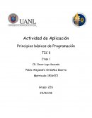 Actividad de Aplicación Principios básicos de Programación