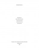 Aplicación de las 5´s en una distribuidora