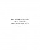 Control 1 formulación y evaluación de proyecto INSTITUTO IACC