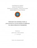 PROPUESTA DE UN MODELO PARA LA EVALUACIÓN DE LOS AISLADORES POLIMÉRICOS EN LÍNEAS AÉREAS DE TRANSMISIÓN