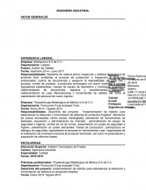 Ejemplo de curriculum vitae de un ingeniero. Página 1