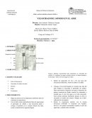 Velocidad del sonido CIENCIAS EXACTAS