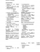 Antropología 02 Castellano del término: Medical Anthropology.