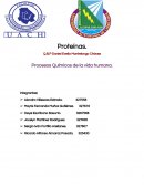Proteinas Procesos Químicos de la vida humana.