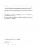 Análisis del entorno externo e interno de la empresa