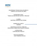 TEMAS DE GESTIÓN DE COSTOS Y PRECIOS