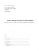 Ensayo Literario de La Divina Comedia