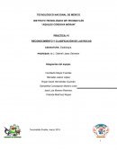 PRACTICA: #2 RECONOCIMIENTO Y CLASIFICACIÓN DE LAS ROCAS