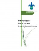 BANCO DE MEXICO SILO SERNA MONTSERRAT