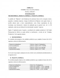 MICROEMPRESA, MEDIANA EMPRESA Y PEQUEÑA EMPRESA. Página 1
