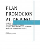 PLAN PROMOCIONAL DE PINOL