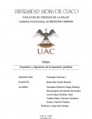 Monografía sobre genetica