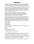 La Renaldo supply company de Watertown