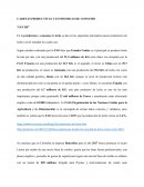 CADENAS PRODUCTIVAS Y ECONOMICAS DE CONSUMO