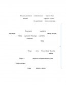 Analisis de psicologia