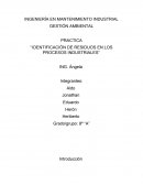 IDENTIFICACION DE LOS RESIDUOS EN LOS PROCESOS INDUSTRIALES