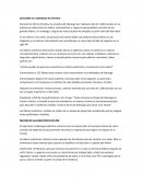 Resumen Descubra su Liderazgo Autentico