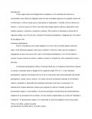 Literatura prehispanica