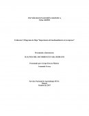 Diagrama de flujo “Importancia del medioambiente en la empresa”