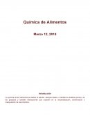 Química de Alimentos apuntes