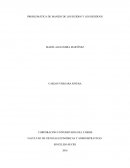 PROBLEMÁTICA DE MANEJO DE LOS RUIDOS Y LOS RESIDUOS