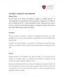 Actividad 1: Enfoque de comercialización