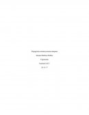 Flujograma sistema persona-máquina