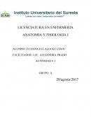 La célula: membrana